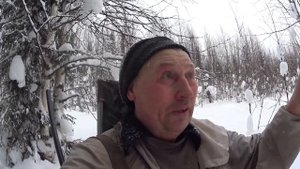 Охота на куницу,кукши и следы куниц.