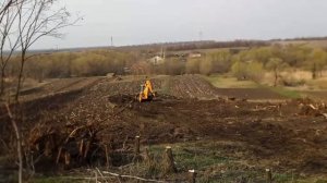 Работа JCB, корчевание-удаление пней, планировка участка...