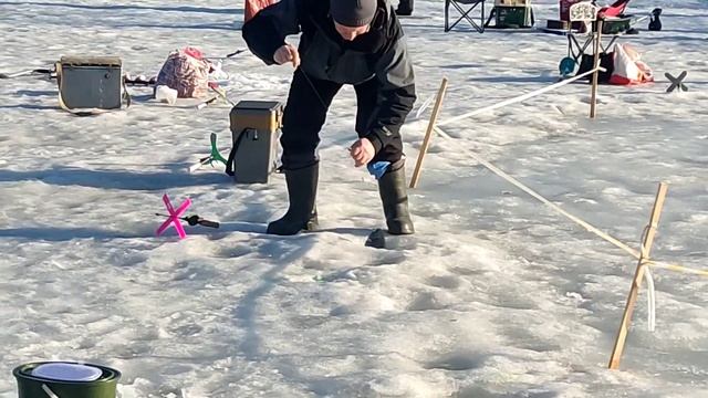 23.03.23 КРХ Белая Дача ,запуск форели и клёв !До запуска ловится увесистая форель!