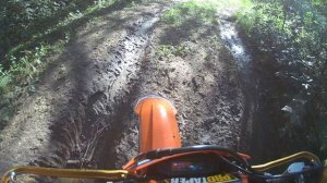 покатушки на  Avantis A5