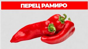 Перец Рамиро Описание Сорта и Отзывы
