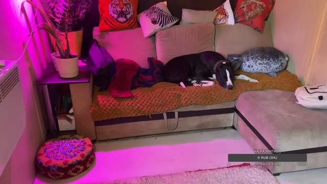 Проба на мтс? Или переключим на мегафон смотреть онлайн