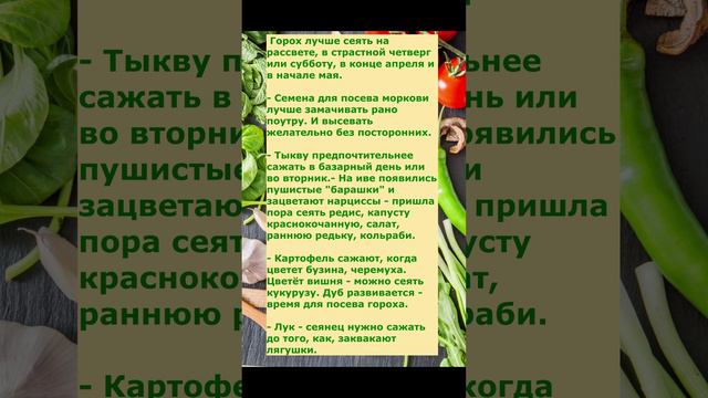 Когда нельзя сажать и сеять ,по Народному календарю