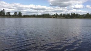 рыбалка 2023 на удочку ловля подлещика летом на опарыша