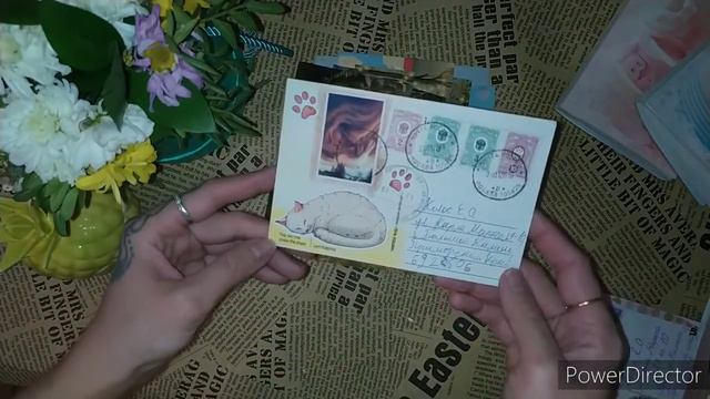 Входящие письма 6️⃣0️⃣ Входящие за неделю, открытки по обменам, письмо сюрприз😍❤️ смотреть онлайн