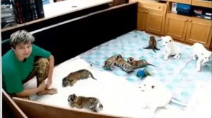 Олег и Оксана Зубковы.    "Сказка" и "Тайган". У любви есть два крыла!