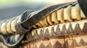 Полярные истории: «В мгновении застывший «БЕГУЩИЙ СОБОЛЬ» || Колыбель || Часть 7