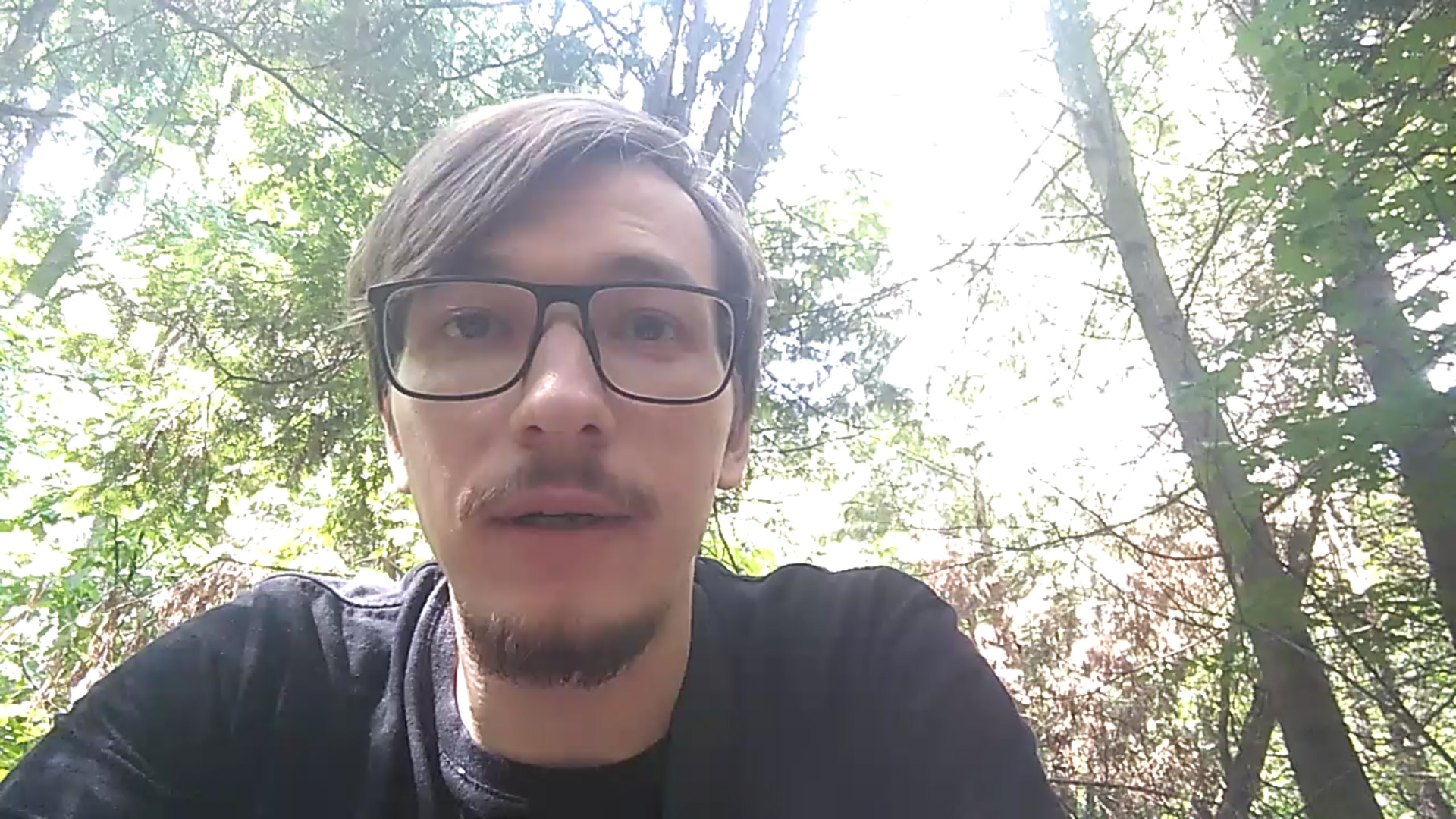 Как выбрать щенка стаффорда