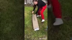 Хурма. Распаковка саженцев Хурмы на виргинском морозостойком подвое "Божий дар" высший сорт