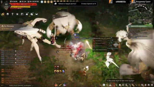 Просто откисаем в Black Desert, присоединяйся! смотреть онлайн