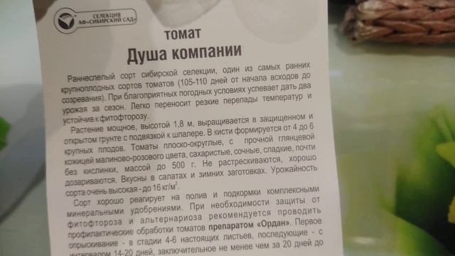 Этот Томат даёт ДВА урожая за сезон.16 кг помидор.УстоятьНевозможно. Сибирский сад.Но есть Двойники смотреть онлайн
