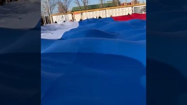 акция ко Дню Конституции