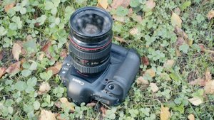 Canon 24-70mm f/2.8L USM - настоящий профессионал!