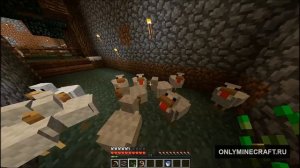 Как разводить куриц в Майнкрафте