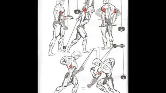 качаем мышцы! смотреть онлайн