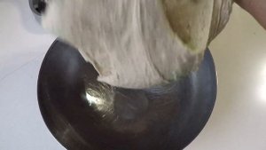 Пирожки на закваске