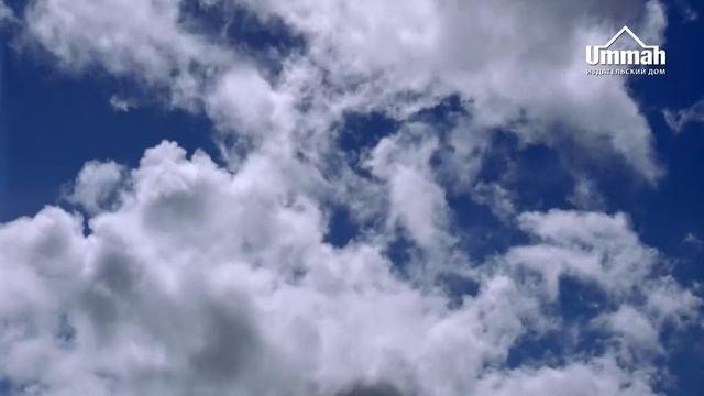 27 - Салим, сын ‘Абдуллаха ибн ‘Умара (внук ‘Умара ибн аль-Хаттаба) смотреть онлайн