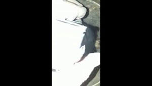 Ремонт насосной станции Pedrollo