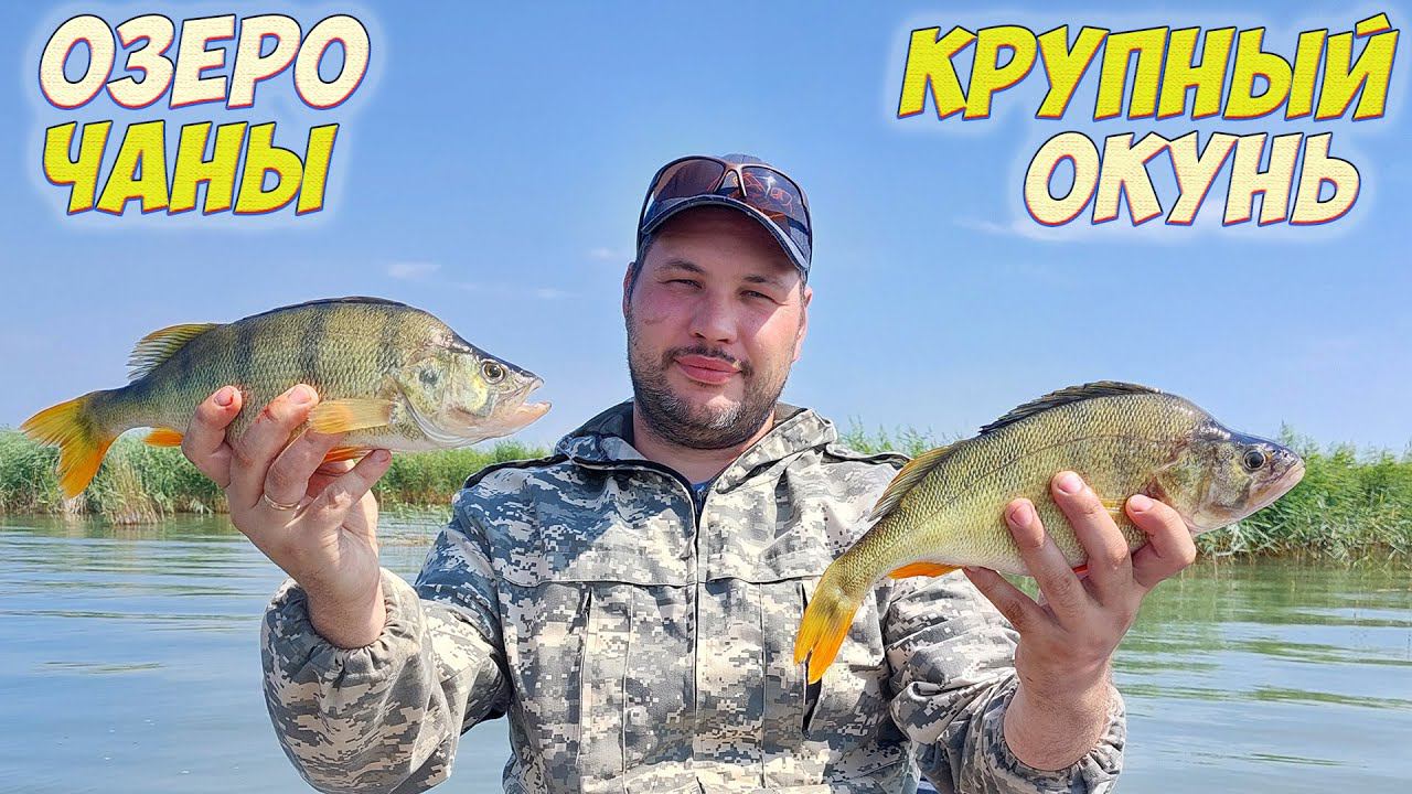 В ПОИСКЕ ГОРБАЧЕЙ! ОКУНЬ НА СПИННИНГ, НА ДЖИГ ОЗЕРО ЧАНЫ смотреть онлайн