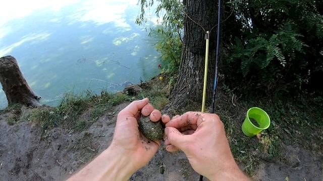 Нашёл рыбу за пеньками. Рыбалка на Днепре.