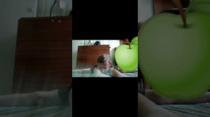 Гимнастика. Утренняя разминка.