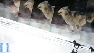 Фэнтези возвращение в эдем Fantasy return to Eden