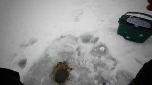 Ловля щуки на жерлицы | Крупная щука не лезет в лунку |  Зимняя рыбалка 2023