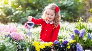 Уход за комнатными растениями