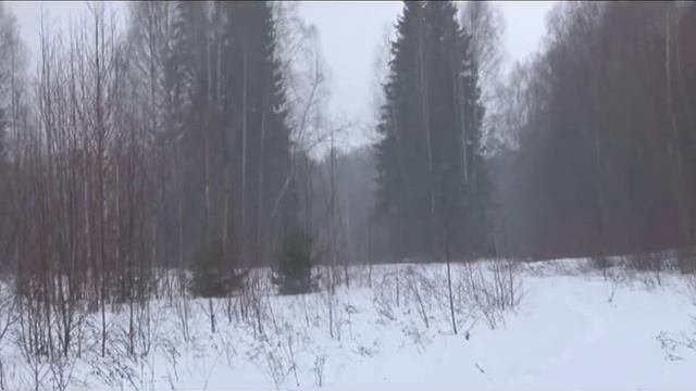 Зимняя загонная охота