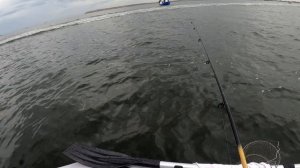 МОРСКАЯ РЫБАЛКА. СУПЕР ПРИМАНКА НА БЫЧКА. Рыбалка на бычка