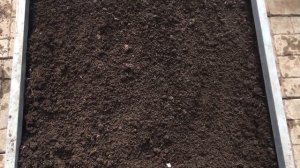 Лучшие удобрения года. Часть 1