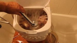 Видеообзор Перощипательная (перосъемная) машина для перепелов ПМ1 в действии