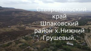 Ставрополь Грошовый нижний с квадрика.