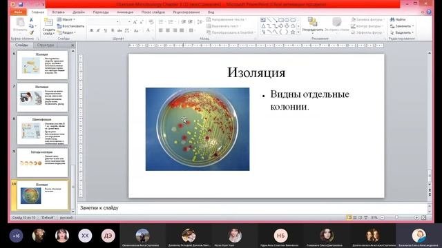 Идентификация микроорганизмов | Микробиология