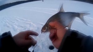 Ловля окуня на чёртик