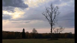 А  Пушкин  За весной, красой природы   Из поэмы Цыганы #стихиоприроде #поэты19века