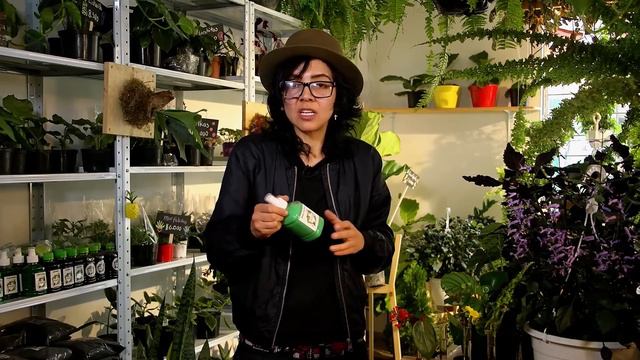 Espuela Zulu - Plantas y Jardines en Teleamiga смотреть онлайн