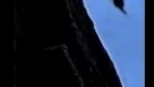 Экспедиция "Лхоцзе-90", южная стена