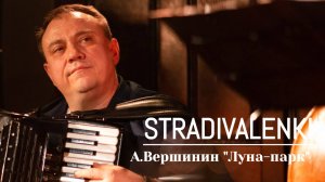 STRADIVALENKI - Вершинин, Луна-парк #live #music #концерт #livemusic #Вершинин #страдиваленки