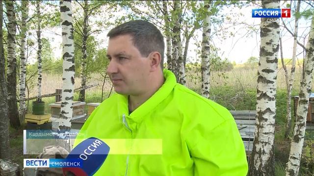 Чем могут обернуться новые правила экспертизы меда для смоленских пчеловодов