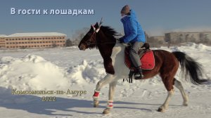 [4K] В гости к лошадкам. Комсомольск-на-Амуре 2022