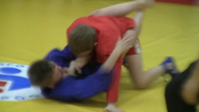 6.12.15 Кубок ЦФО Борьба смотреть онлайн