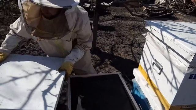 Объединение двух семей