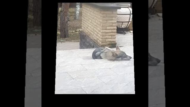 Спать пора смотреть онлайн