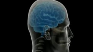 Беседы о Йоге ч.1