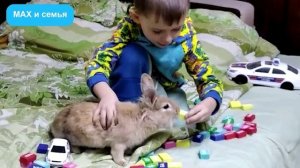 Кролики дома с ребенком