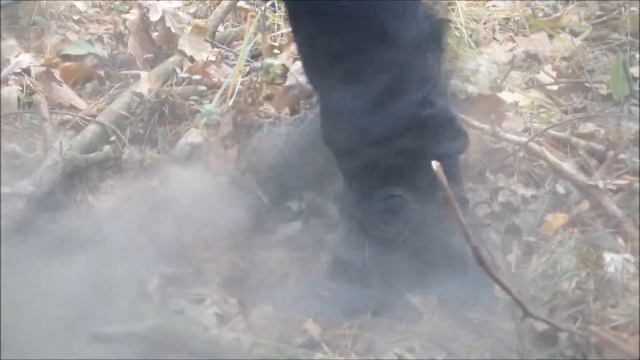 По грибы... гриб -"дымовушка". смотреть онлайн