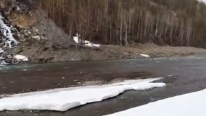 Красота 15.05.2015г  ... п.Горный Солнечный район Хабаровский край