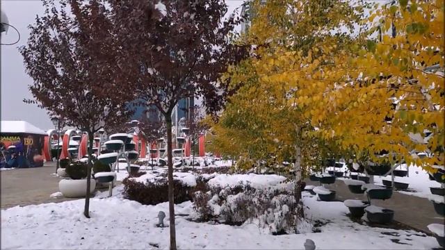 Цветочный парк Грозного в снегу | ноябрь 2019, Чечня