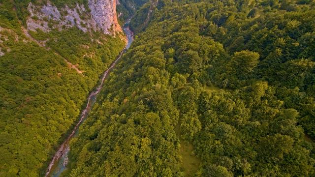 Beautiful Relaxing Music - Stop Overthinking, Stress Relief Music, Sleep Music, Calming Music #52 смотреть онлайн